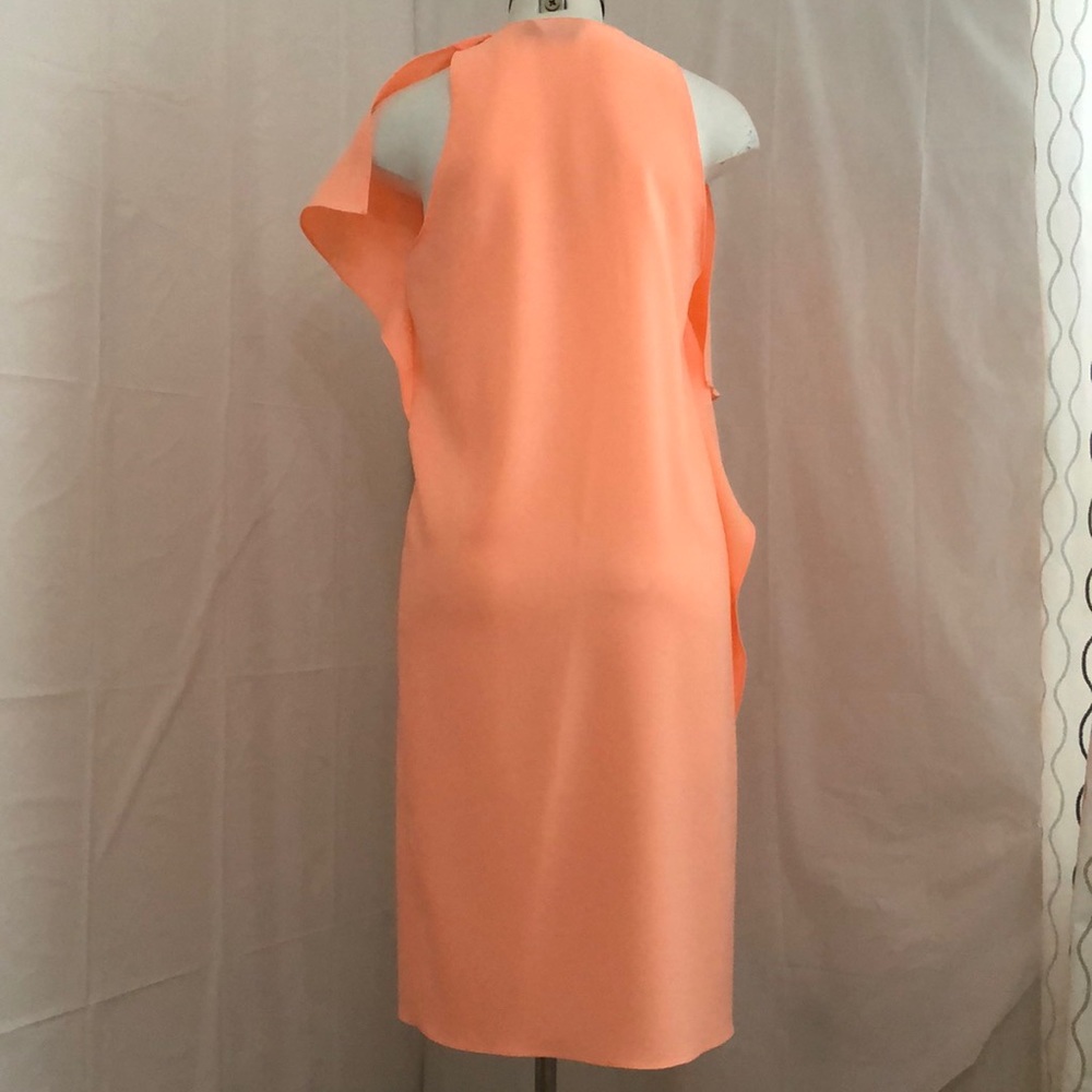 Blaque Label Sheer Ruffle Dress - Picture 6 of 8
